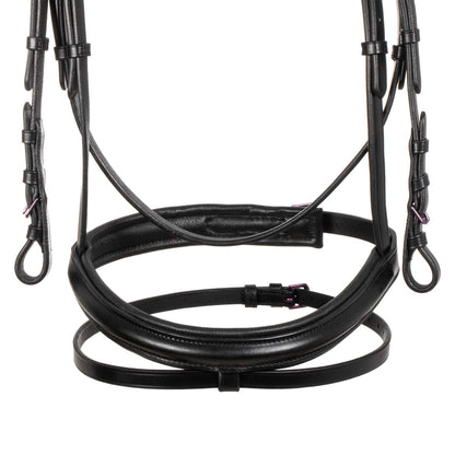 Brida anatómica negra de cuero Equestro - Negro