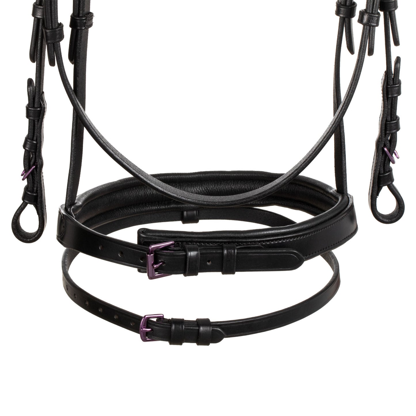 Brida anatómica negra de cuero Equestro - Negro