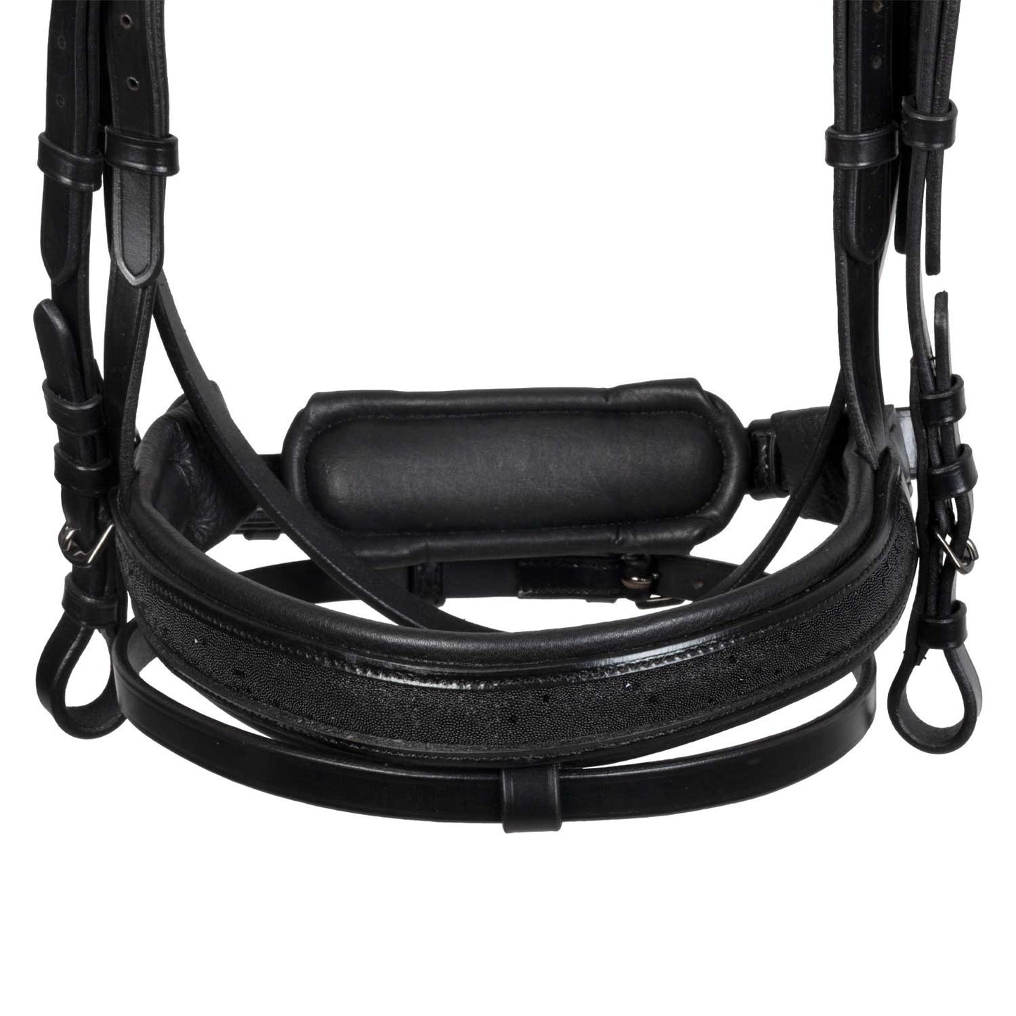 Brida de cuero elegante de doma Equestro - Negro