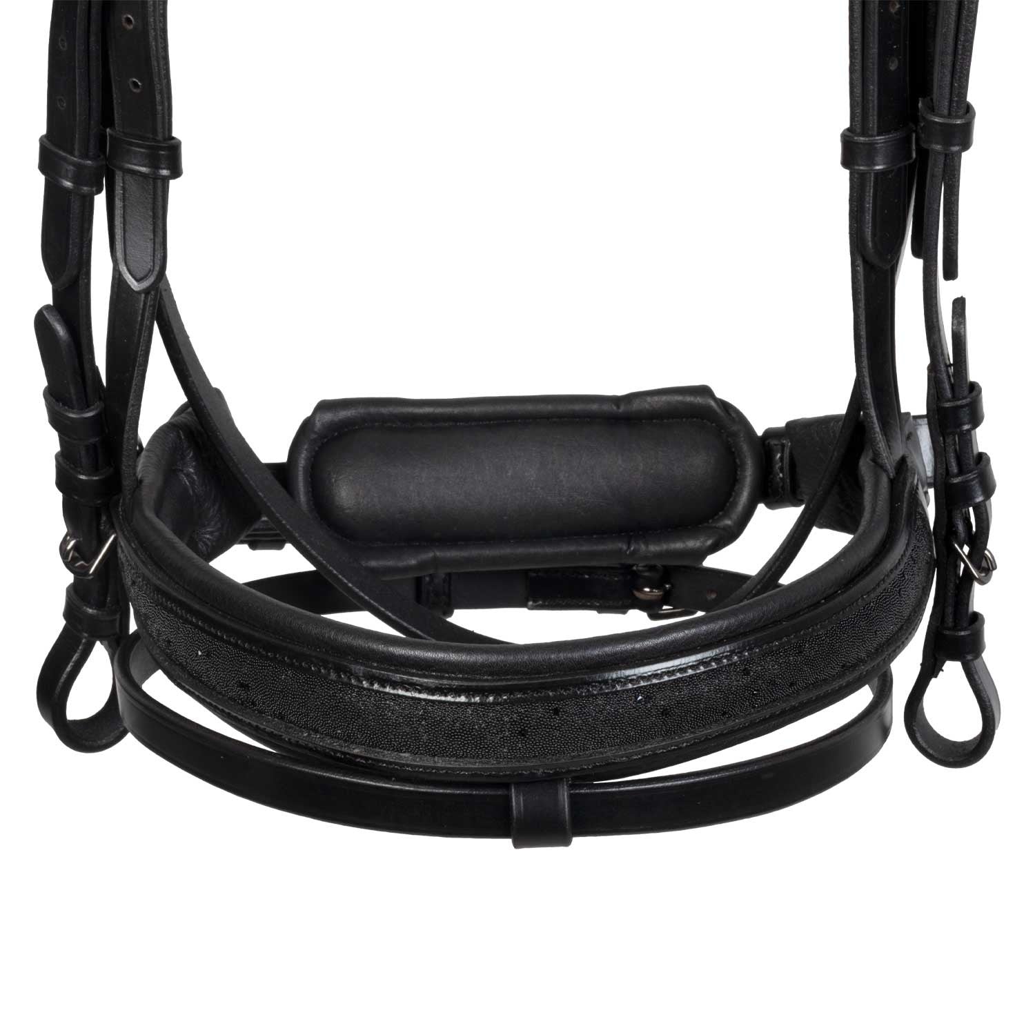 Brida de cuero elegante de doma Equestro - Negro