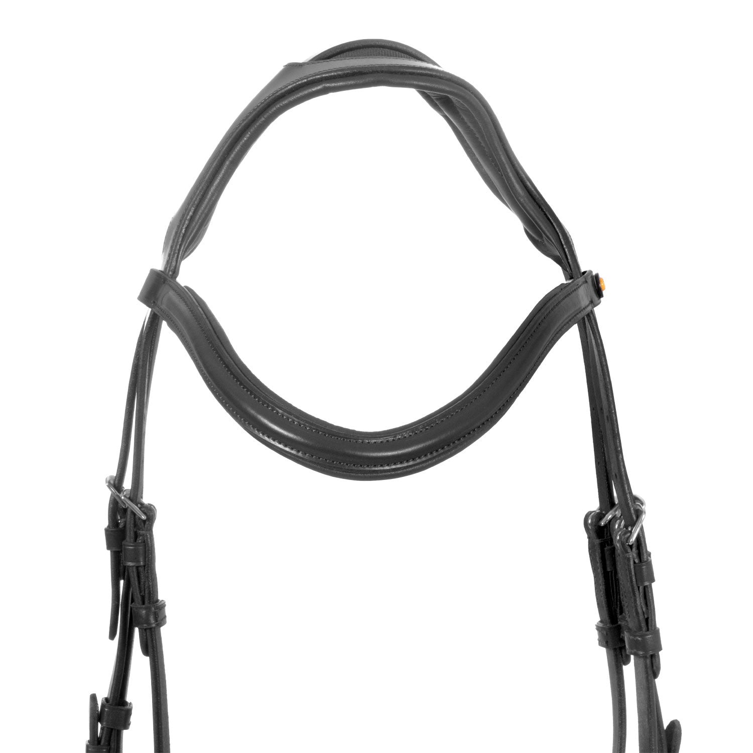 Brida de filete con frontal ancho y en forma Equestro - Negro