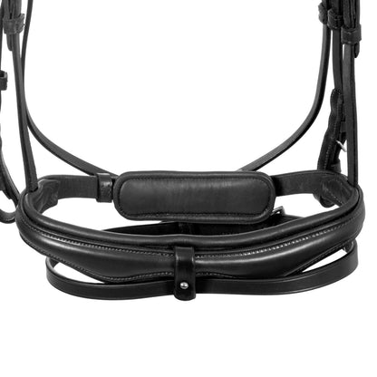Brida de filete con frontal ancho y en forma Equestro - Negro