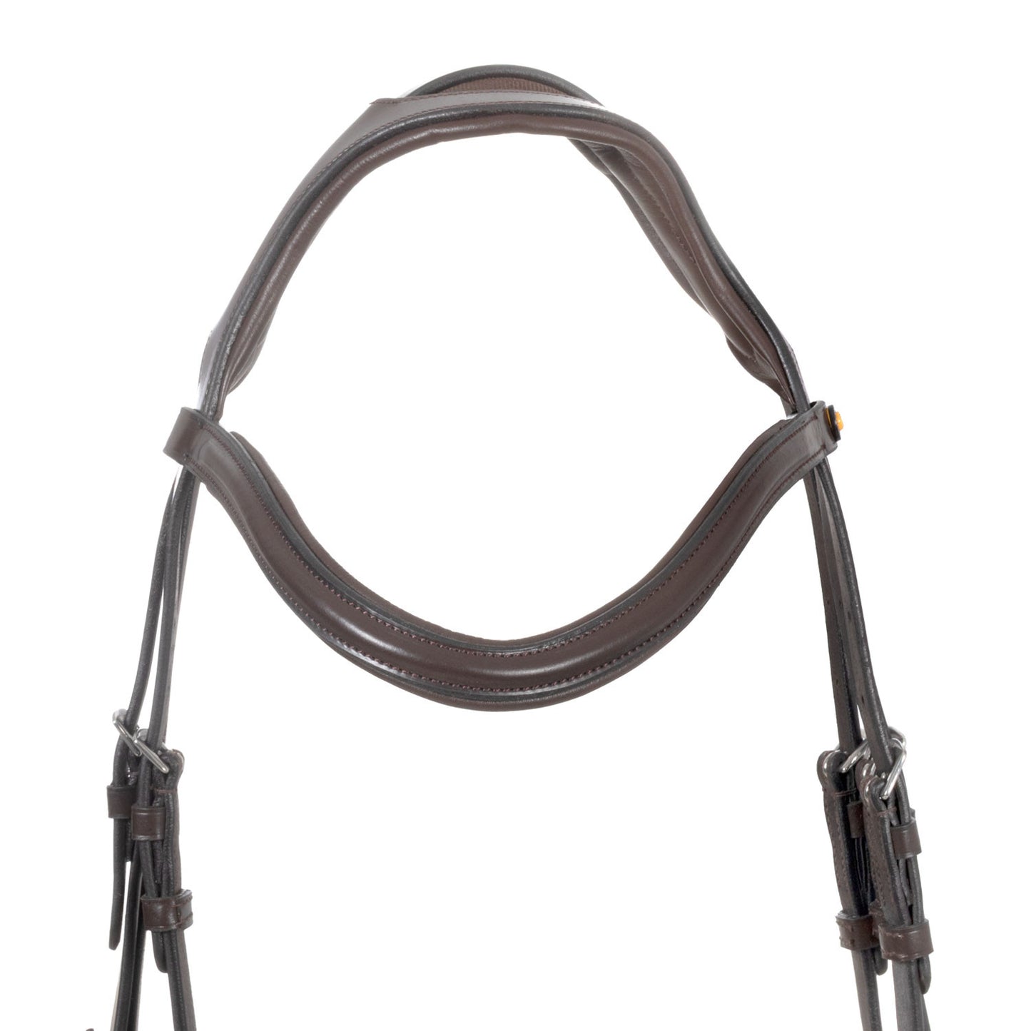 Brida de filete con frontal ancho y en forma Equestro - Marrón oscuro