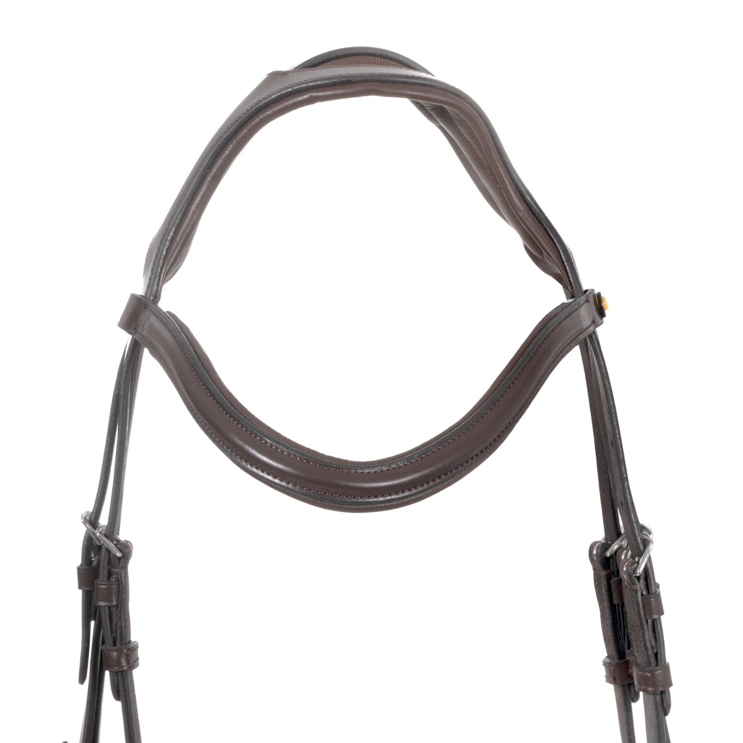 Brida de filete con frontal ancho y en forma Equestro - Marrón oscuro
