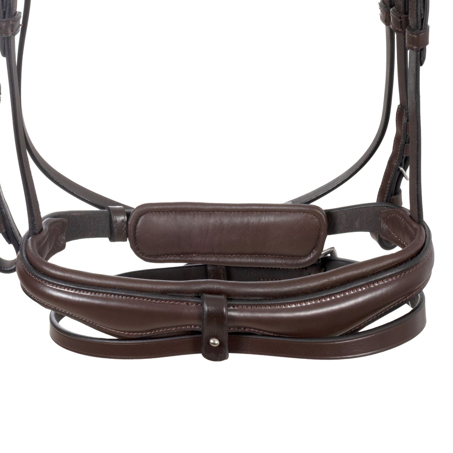 Brida de filete con frontal ancho y en forma Equestro - Marrón oscuro