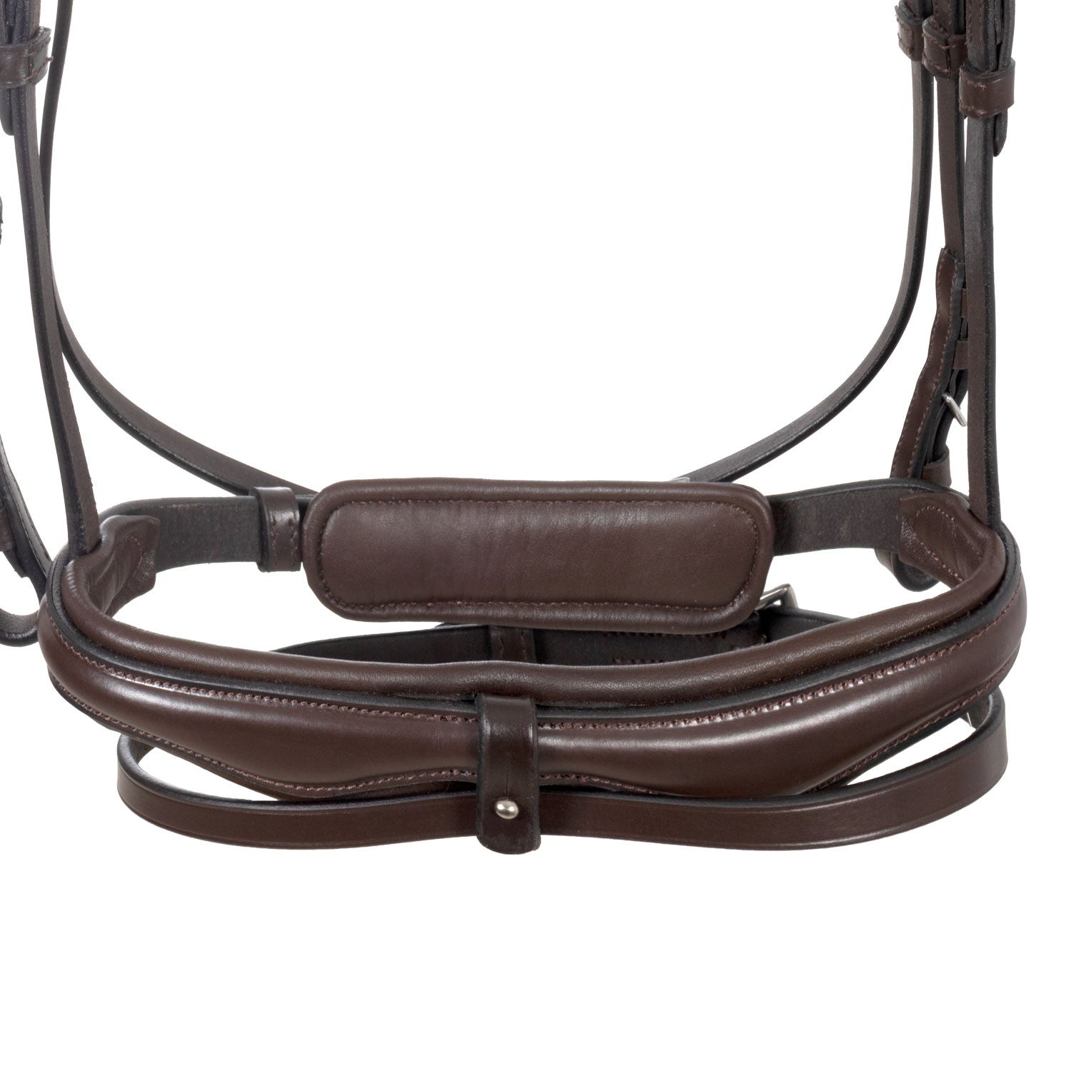 Brida de filete con frontal ancho y en forma Equestro - Marrón oscuro