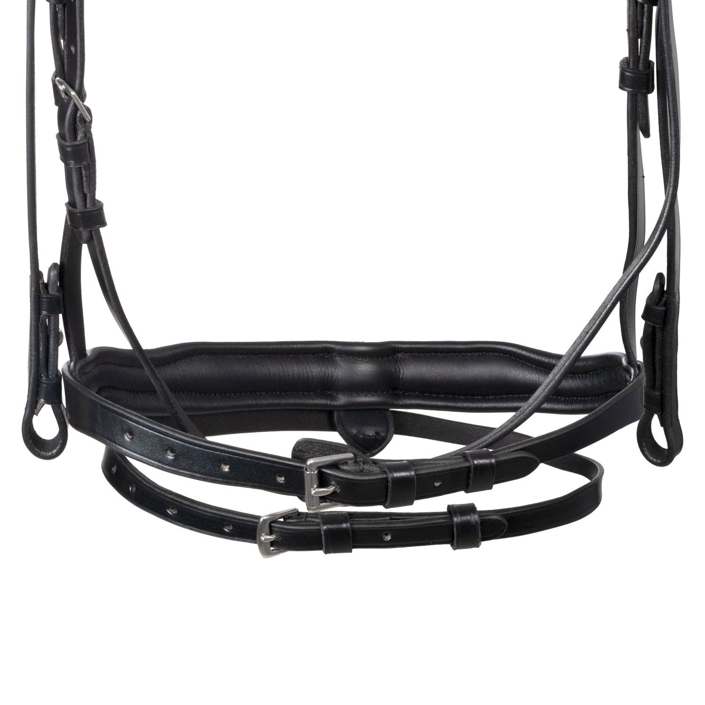 Brida con muserola anatómica Equestro - Negro