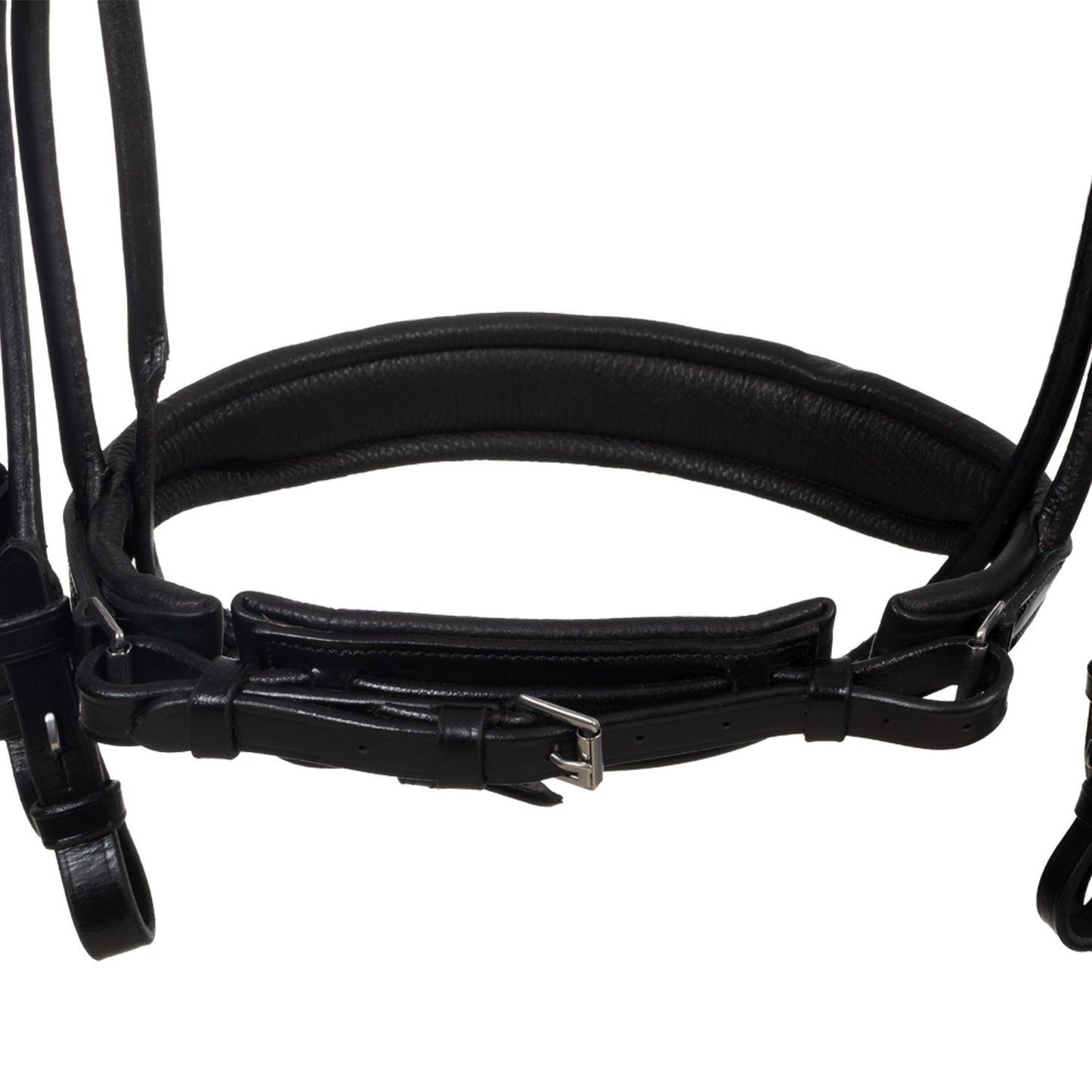 Brida anatómica de doma enrollada de cuero Equestro - Negro
