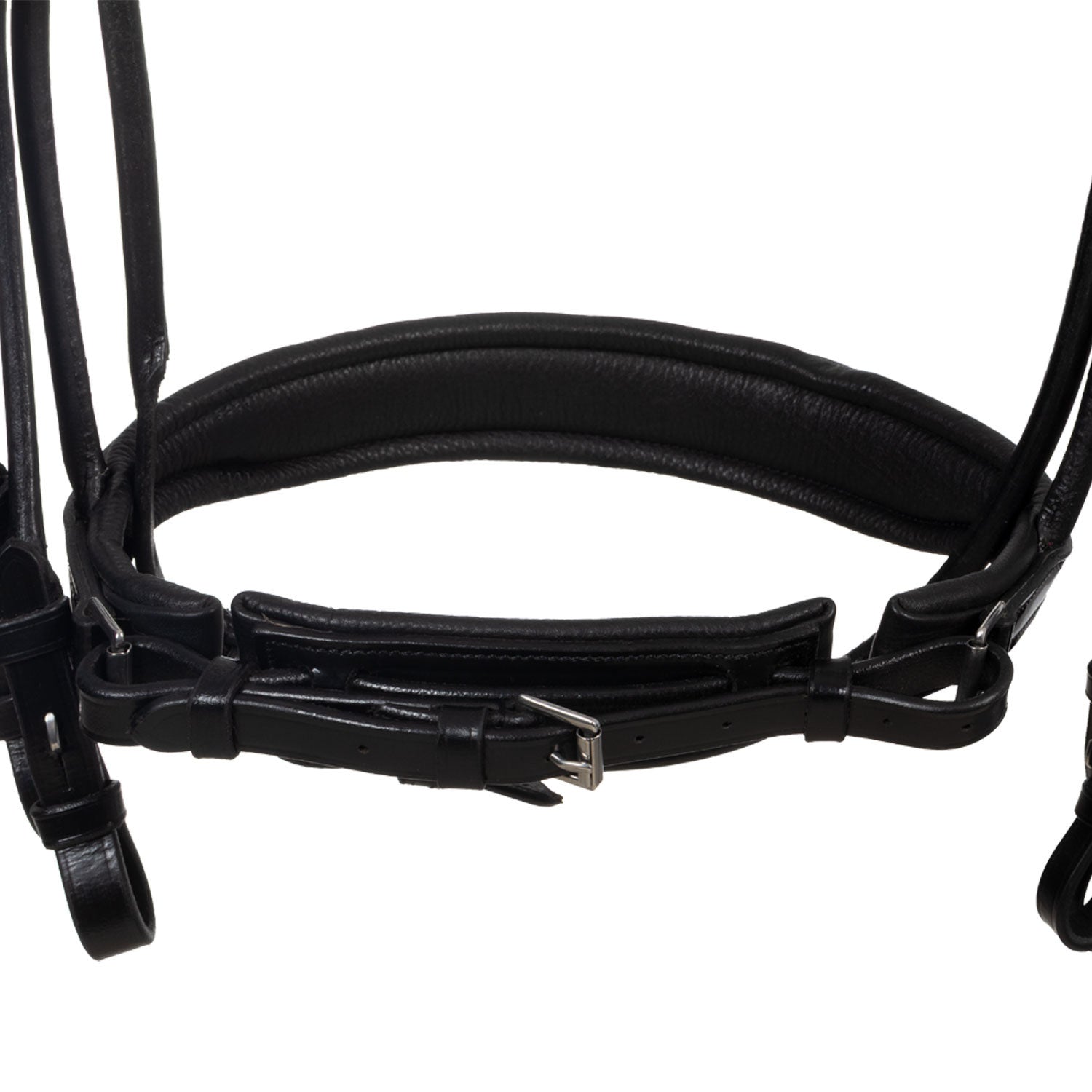Brida anatómica de doma enrollada de cuero Equestro - Negro