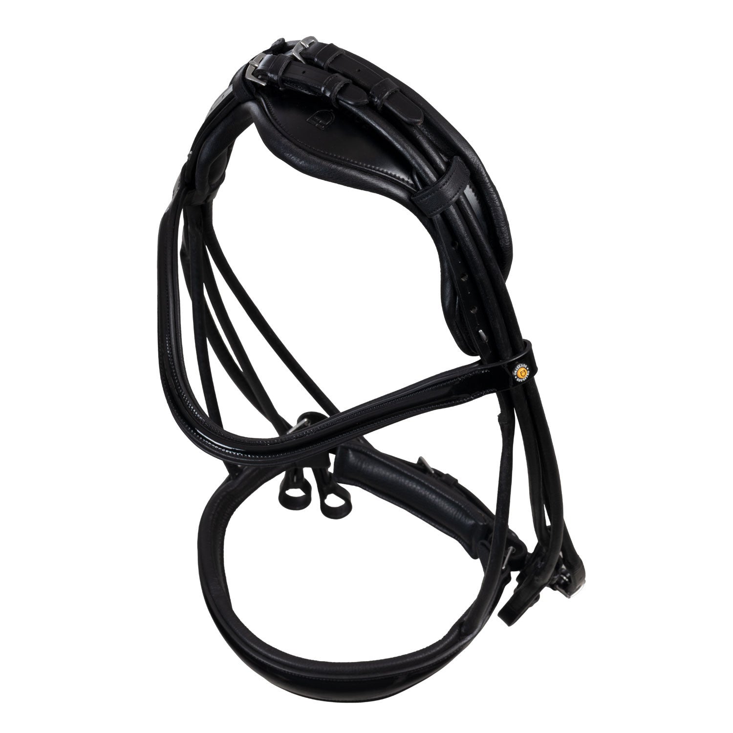 Brida anatómica de doma enrollada de cuero Equestro - Negro