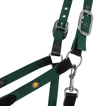 Cabezada ergonómica con insertos de cuero Equestro - Black/Hunter Green
