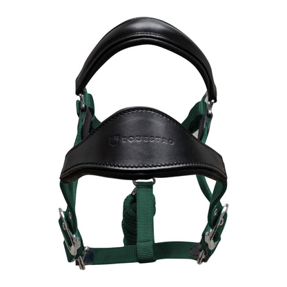 Cabezada ergonómica con insertos de cuero Equestro - Black/Hunter Green