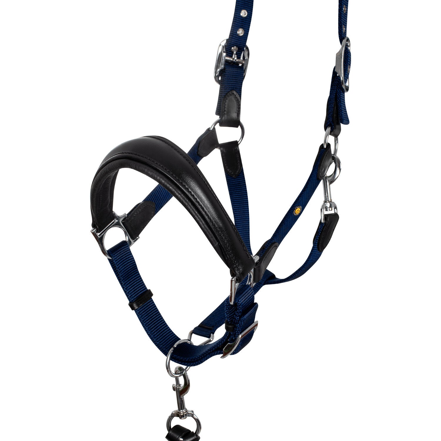 Cabezada ergonómica con insertos de cuero Equestro - Black/Navy