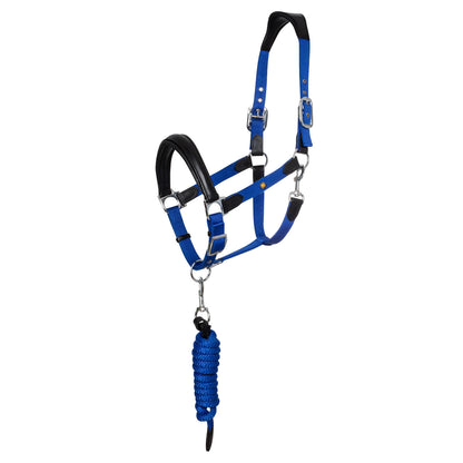 Cabezada ergonómica con insertos de cuero Equestro - Black/Royal
