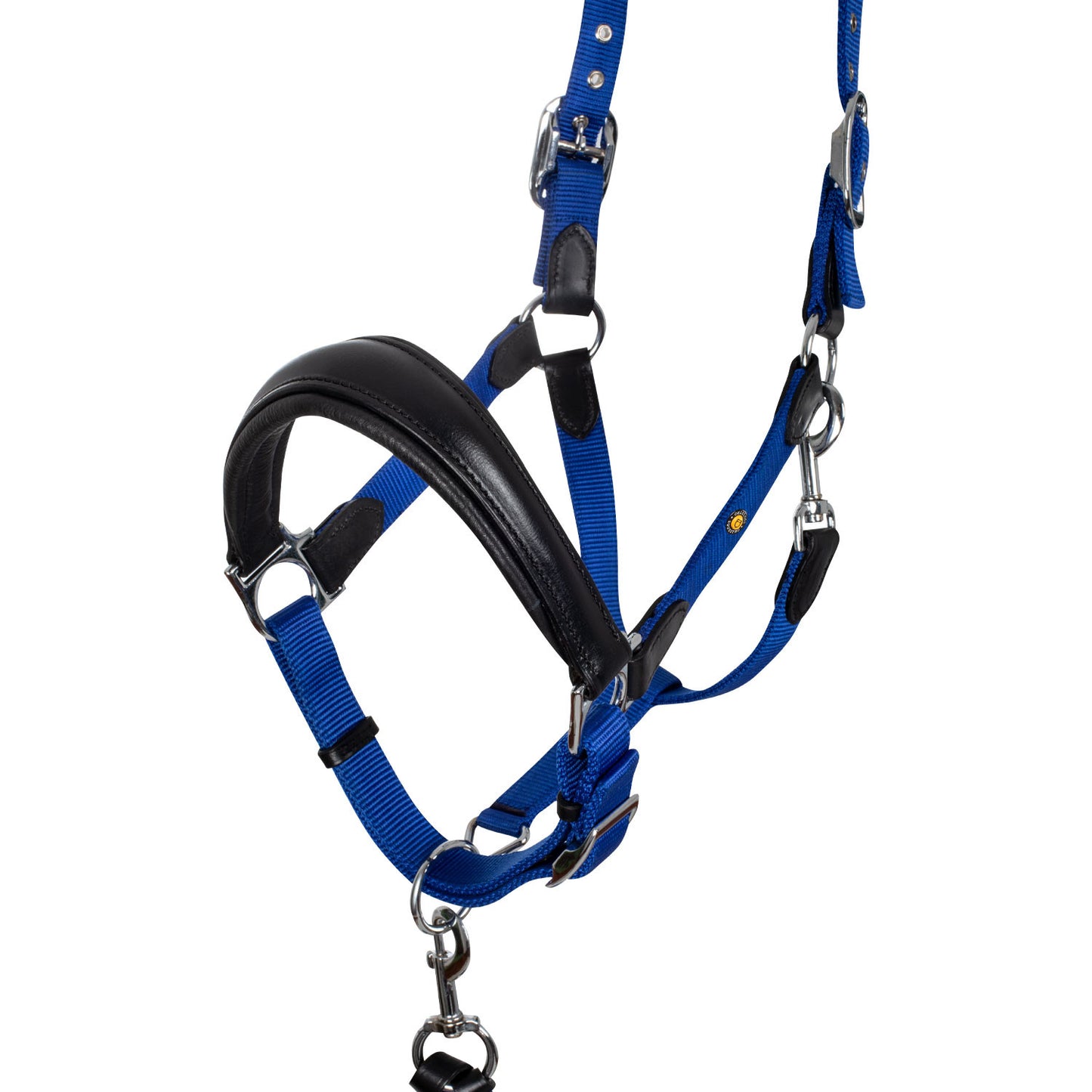 Cabezada ergonómica con insertos de cuero Equestro - Black/Royal