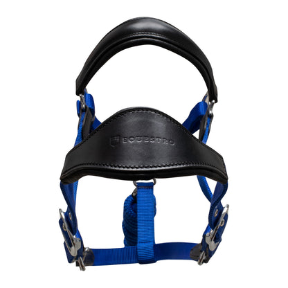 Cabezada ergonómica con insertos de cuero Equestro - Black/Royal
