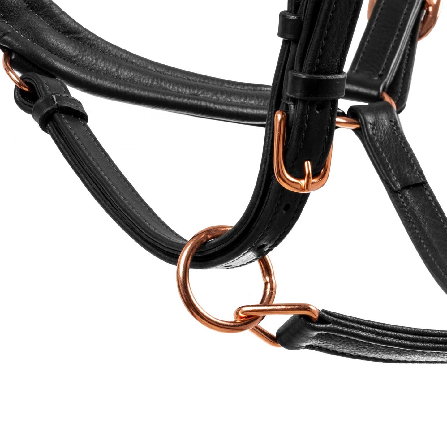 Cabezada cuero brillante hebillas oro rosa Equestro - Negro