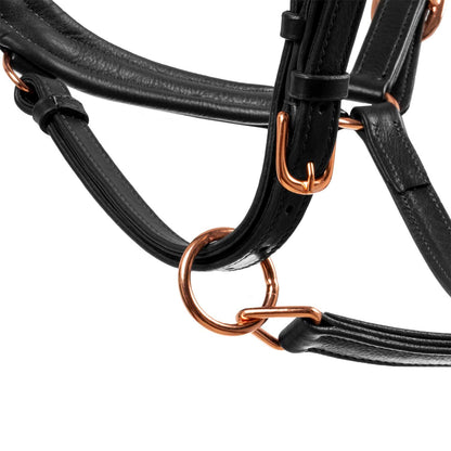Cabezada cuero brillante hebillas oro rosa Equestro - Negro