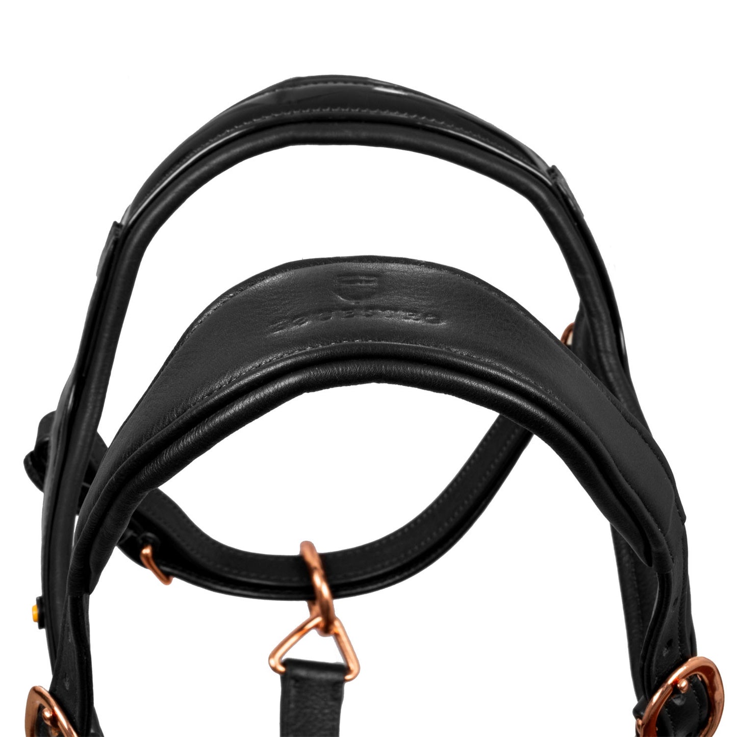 Cabezada cuero brillante hebillas oro rosa Equestro - Negro