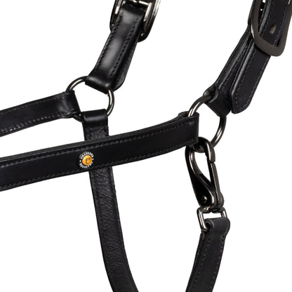 Diamond cabestro anatómico de cuero Equestro - Negro