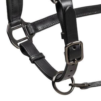 Diamond cabestro anatómico de cuero Equestro - Negro