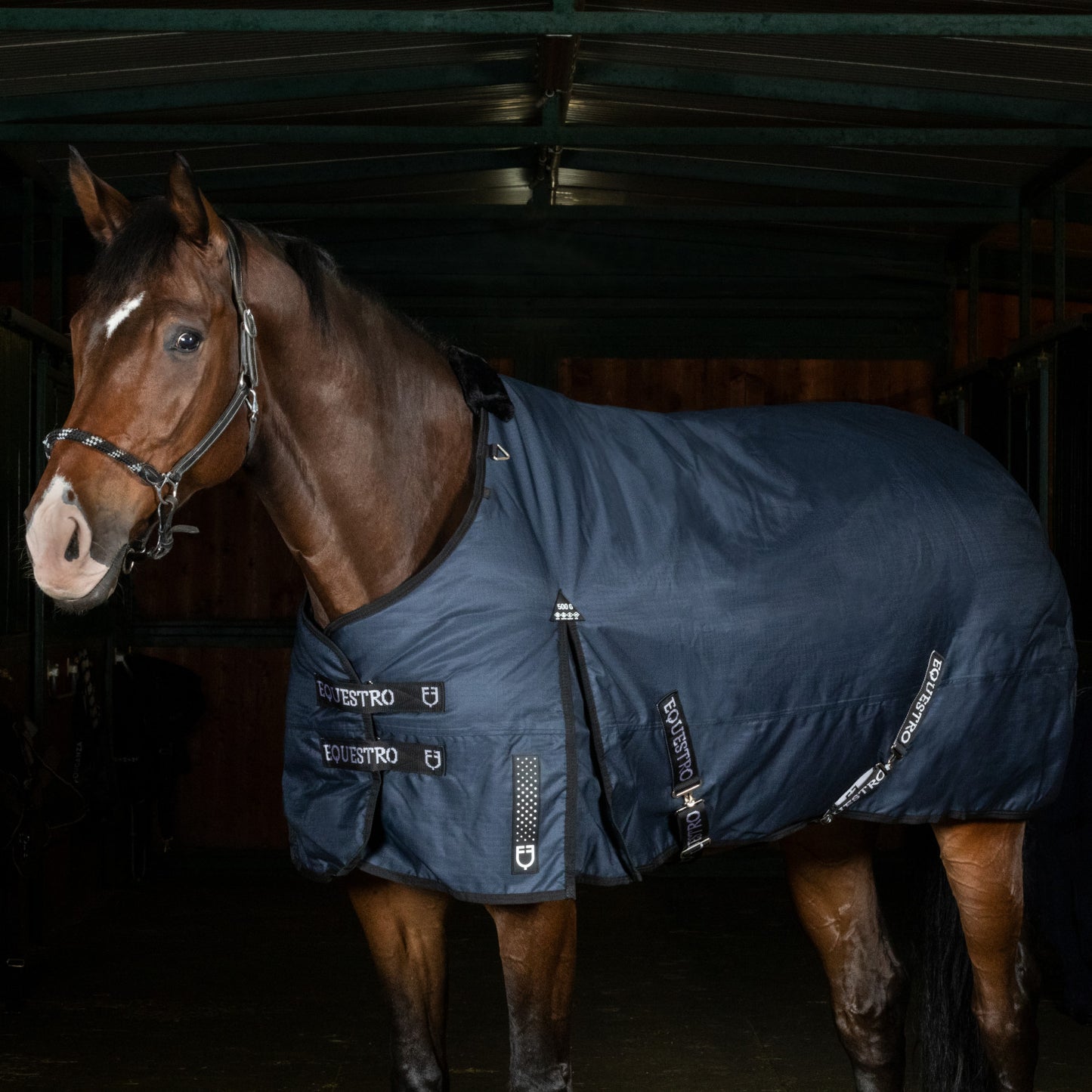 Manta de paddock Alberta de tejido antidesgarro Equestro - Azul marino