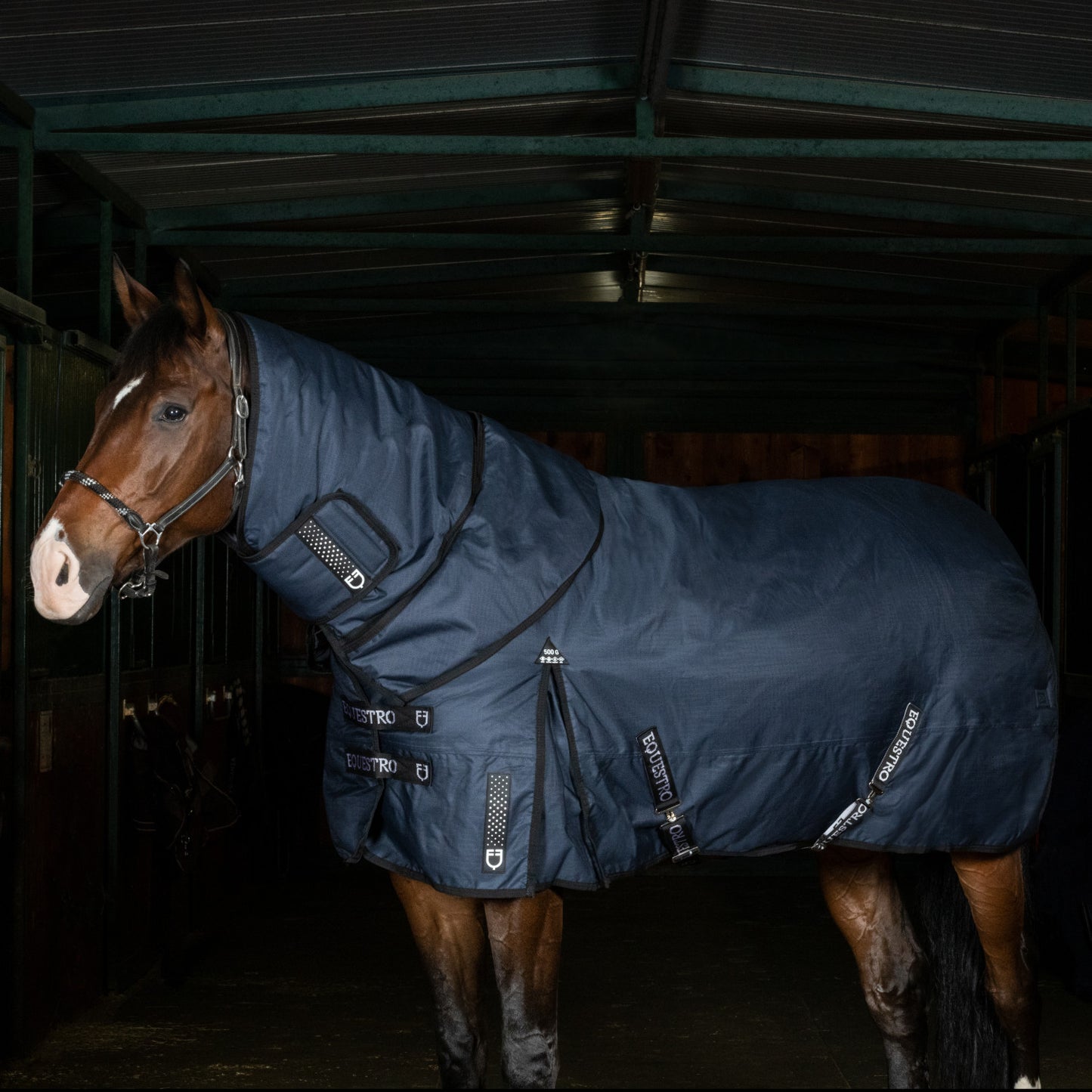 Capucha de paddock de tela antidesgarro Equestro - Azul marino