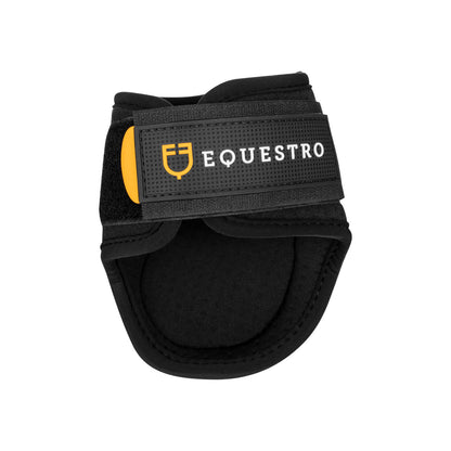 Paranocche para caballo joven de neopreno y TPU Equestro - Marrón