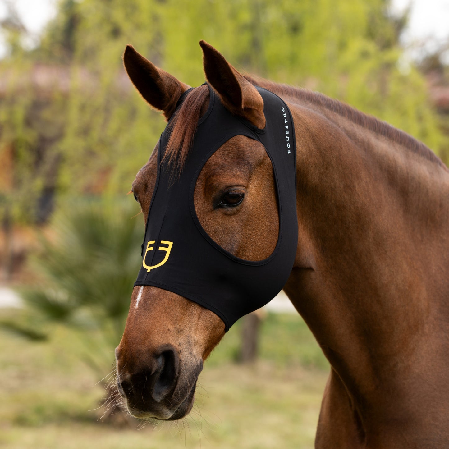 Mascara antimoscas de elastano sin red para ojos y orejas Equestro - Negro