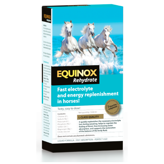 Equinox Rehydrate