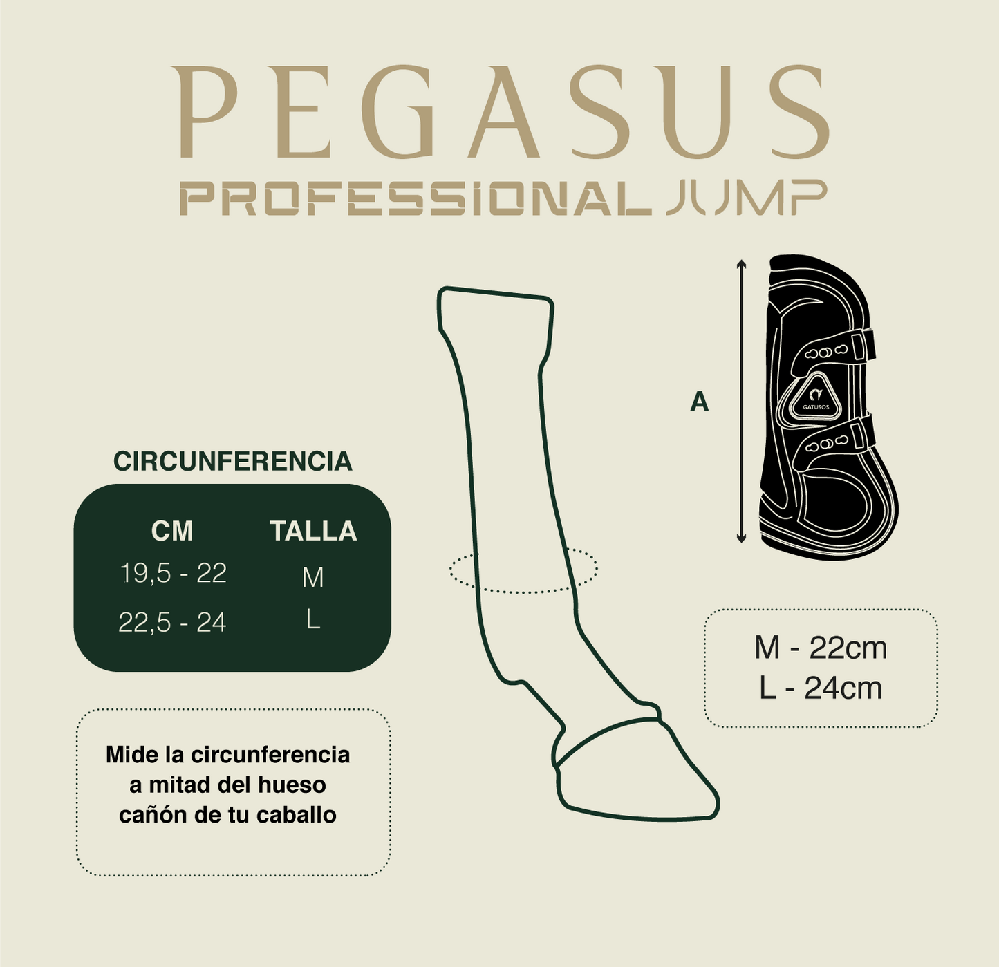 Protector de tendón Pegasus Gatusos® (Salto)