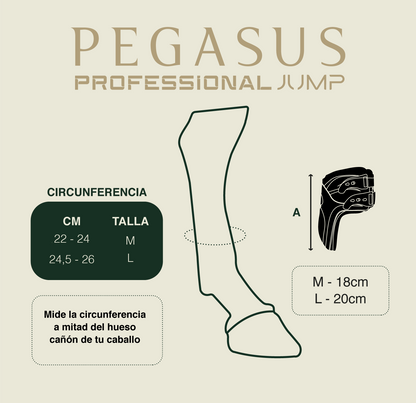 Protector de menudillo Pegasus Gatusos® (Salto)