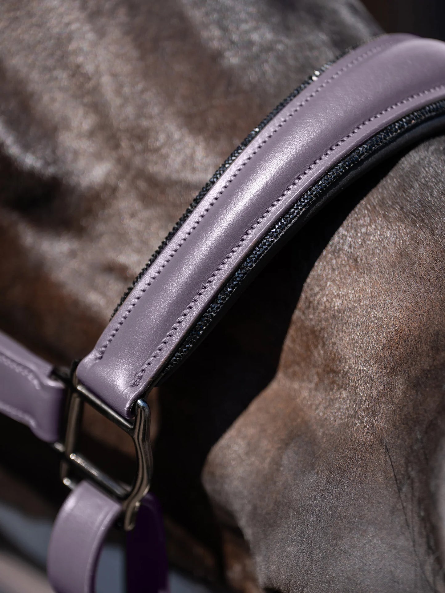 Cabezada de Cuero Anatómica Glimmer – Equestrian Stockholm