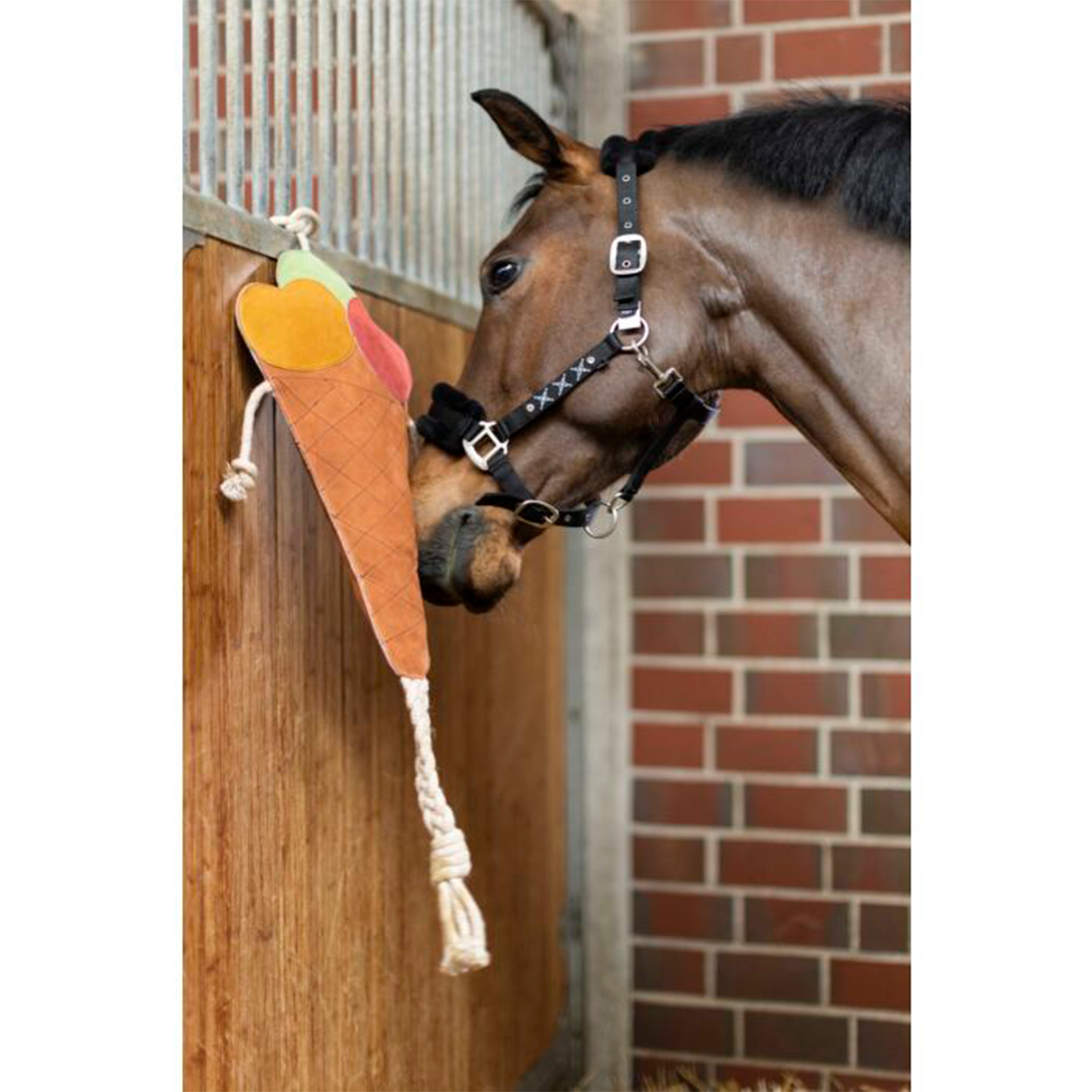 Juguete para caballos -Ice cream- HKM