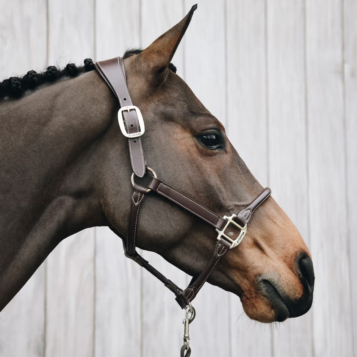 Halters Kentucky Vegan Leather Anatomic Halter detalle 4