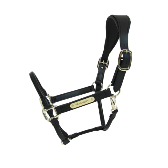 Halters Kentucky Vegan Leather Anatomic Halter vista principal