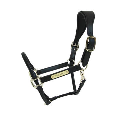 Halters Kentucky Vegan Leather Anatomic Halter vista principal