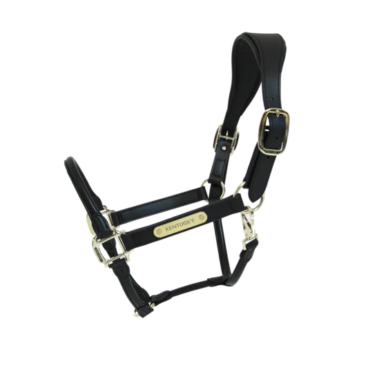 Cabezada de cuadras Kentucky Vegan Leather Anatomic cabezada de cuadra para equitación