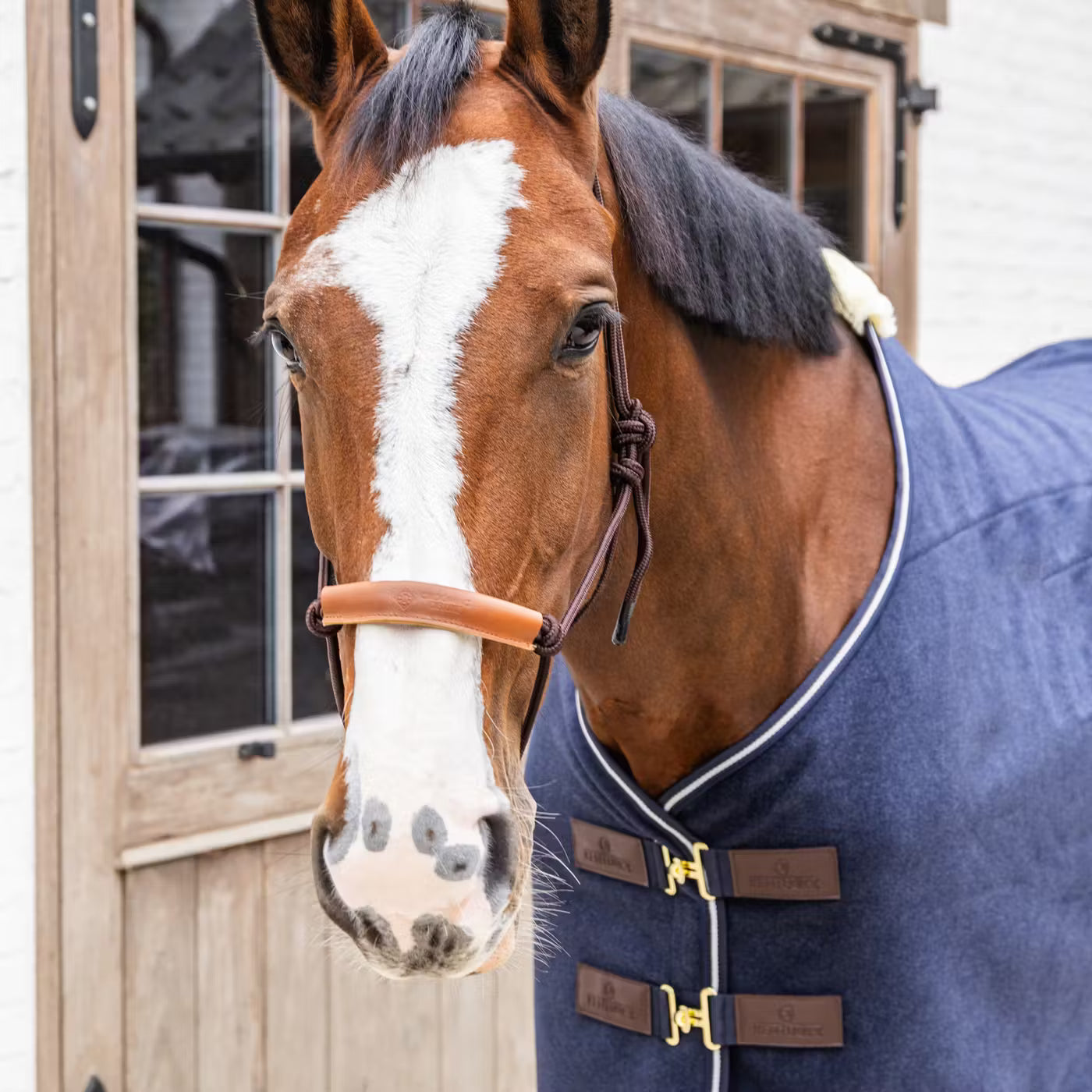 Rope Halters Kentucky Rope Halter detalle 3