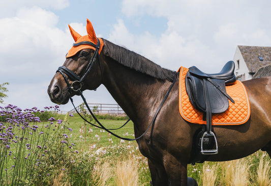 Manta para caballo Kentucky Horsewear Diamond Rope Dressage Set para equitación