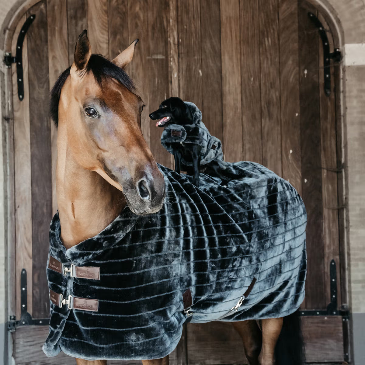 Manta para caballo Kentucky Fake Fur Rug detalle 2