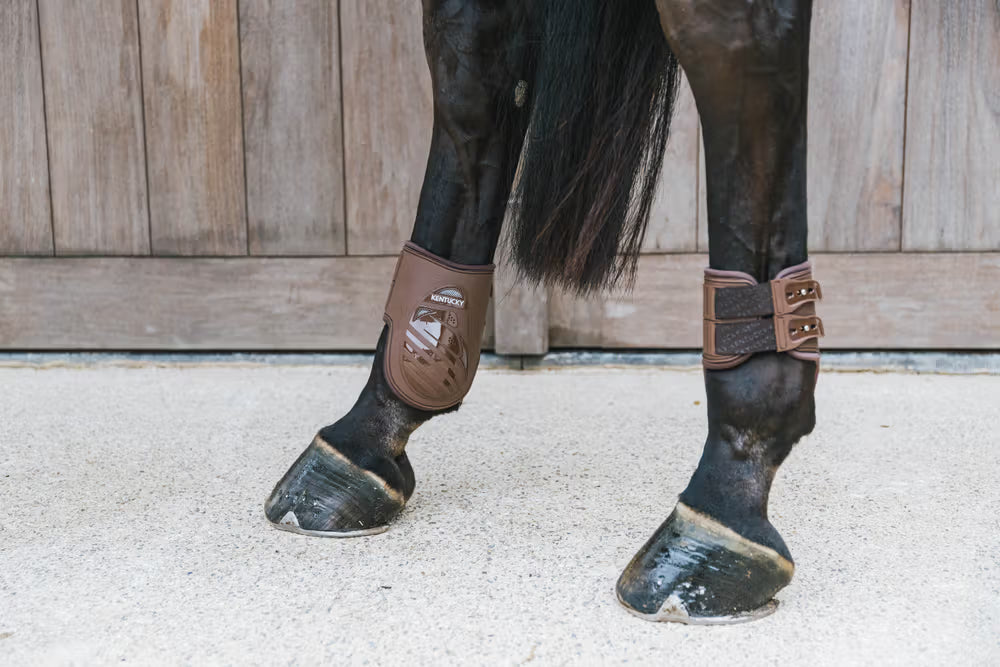Calzado ecuestre Kentucky Fetlock Boots Elastic detalle 4