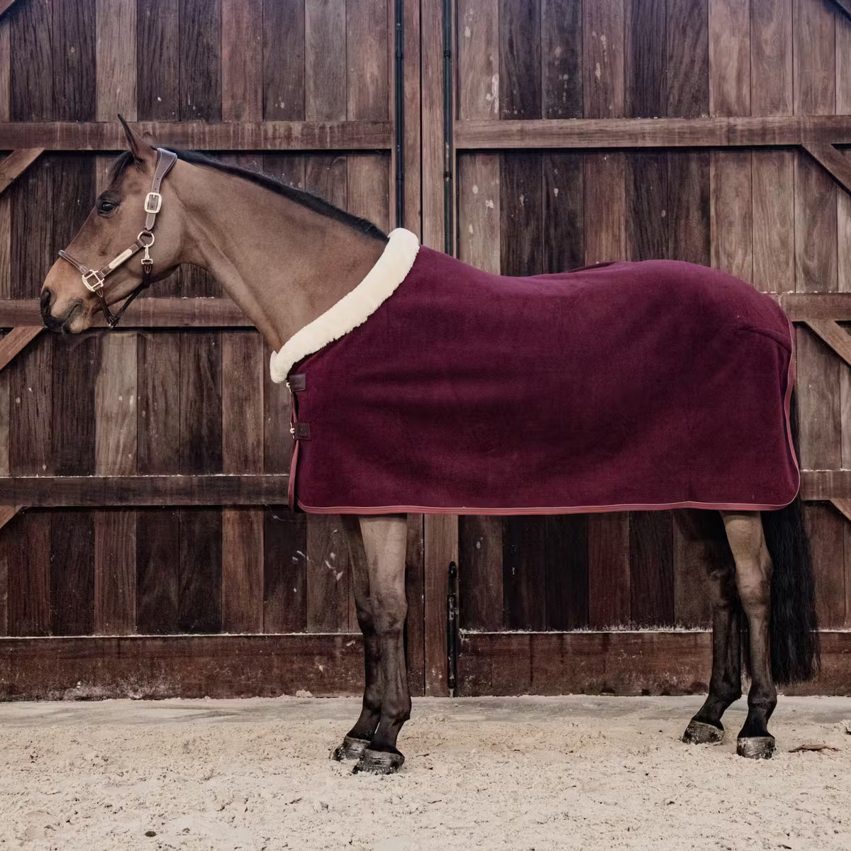 Manta para caballo Kentucky Fleece Rug Show Heavy Bordeaux detalle 2