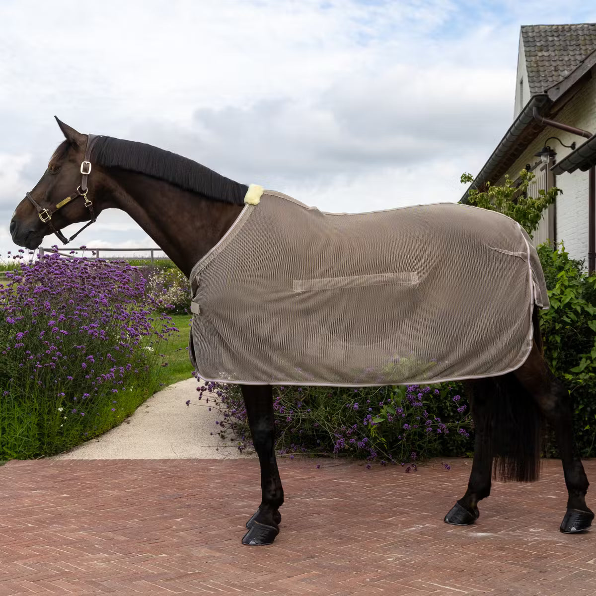 Manta para caballo Kentucky Fly Rug with Belly Cover Comfort vista principal