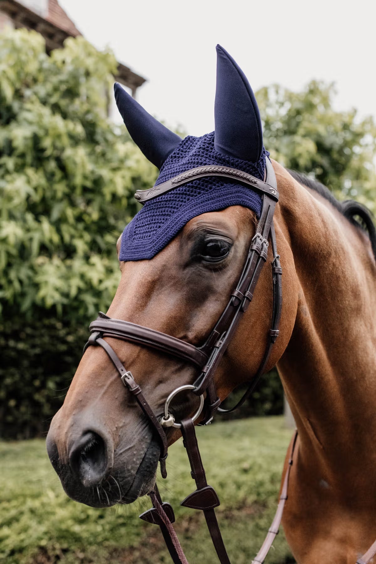 Ear Bonnets Kentucky Fly Veil Wellington detalle 6