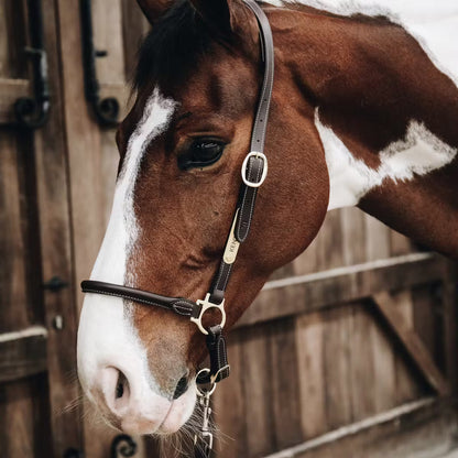 Grooming Halters Kentucky Grooming Halter detalle 2