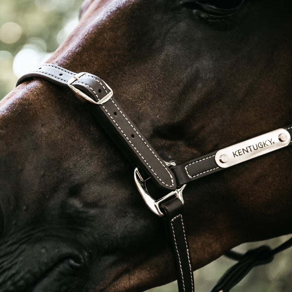 Halters Kentucky Vegan Leather Halter Flexible detalle 3