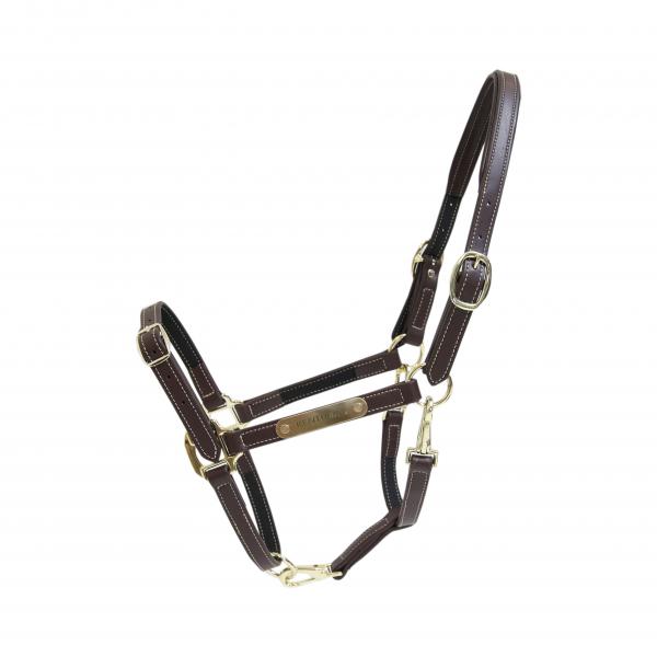 Halters Kentucky Vegan Leather Halter Flexible vista principal