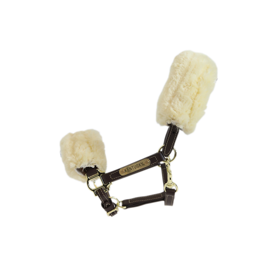 Cabezada de cuadras Kentucky Shetty Leather cabezada de cuadra Sheepskin para equitación