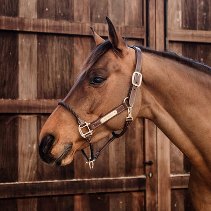 Halters Kentucky Vegan Leather Rope Halter detalle 3